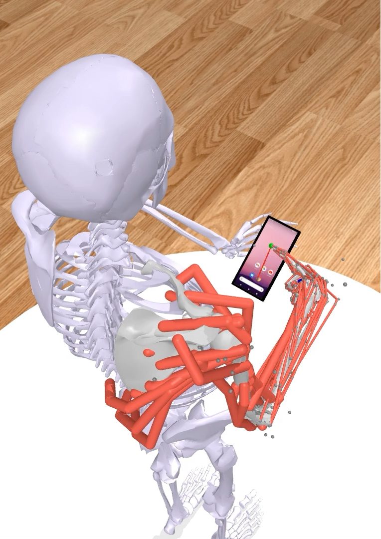 Biomechanical model interacting with a touchscreen device