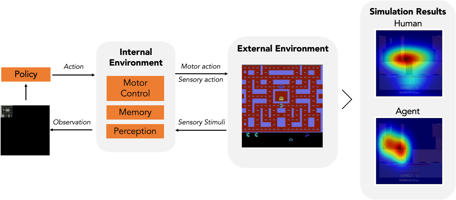 CR-Eyes model architecture with human and simulated visual attention in an Atari game